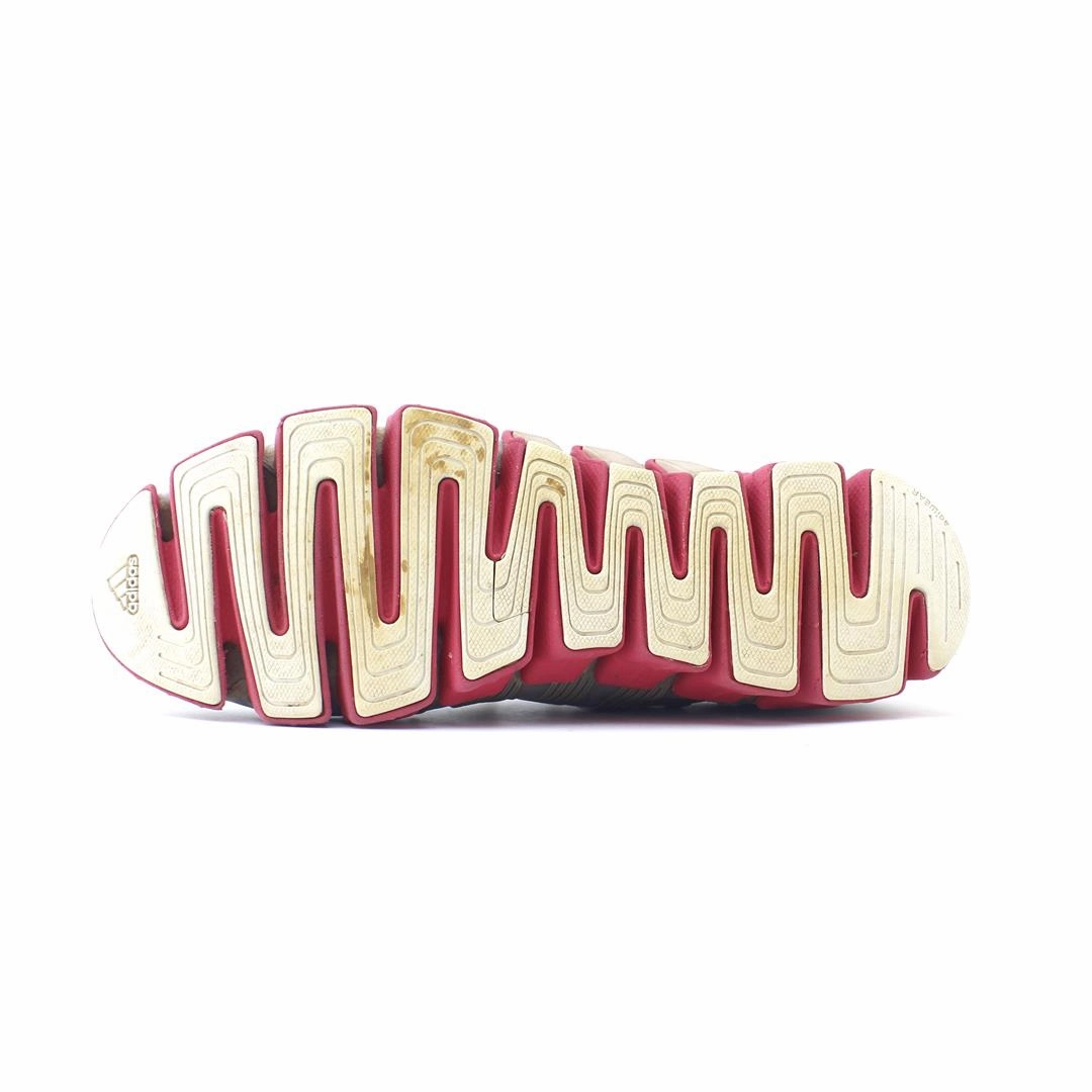 Cheapest Carbon Plate Running Shoes ADIDAS .