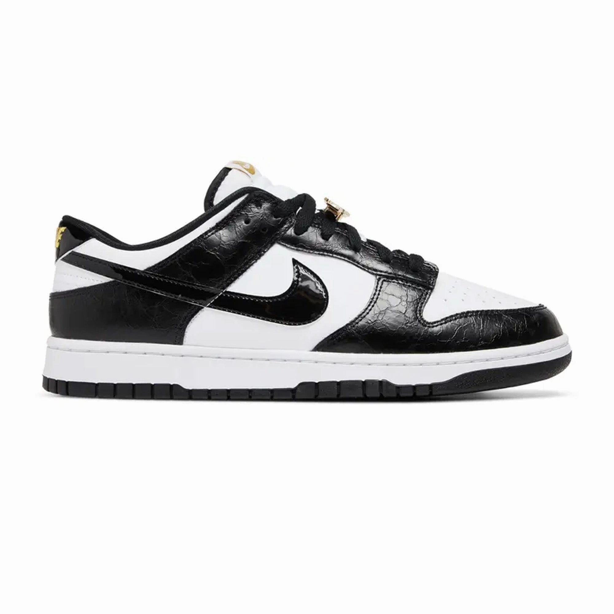 Dunk Low SE 'World Champs Black White' (2022) Tiafoe Nike Shoes