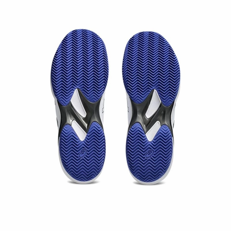 Most Expensive Asics Shoes ASICS GEL-Solution Swift FF 2 Clay D Mens Tennis Shoes