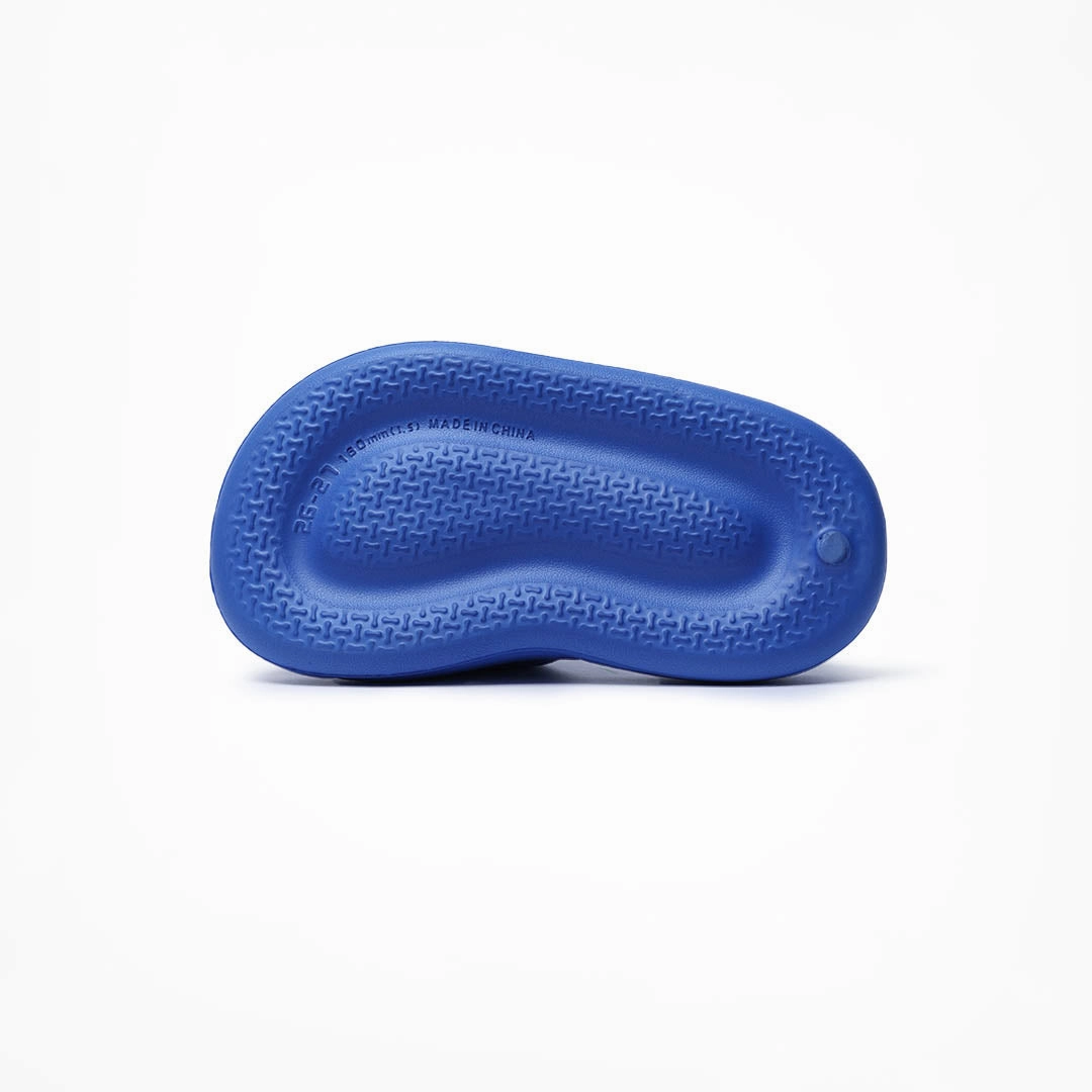 Sheep Wool Slippers Birdsoles - Kiwi (Blue)