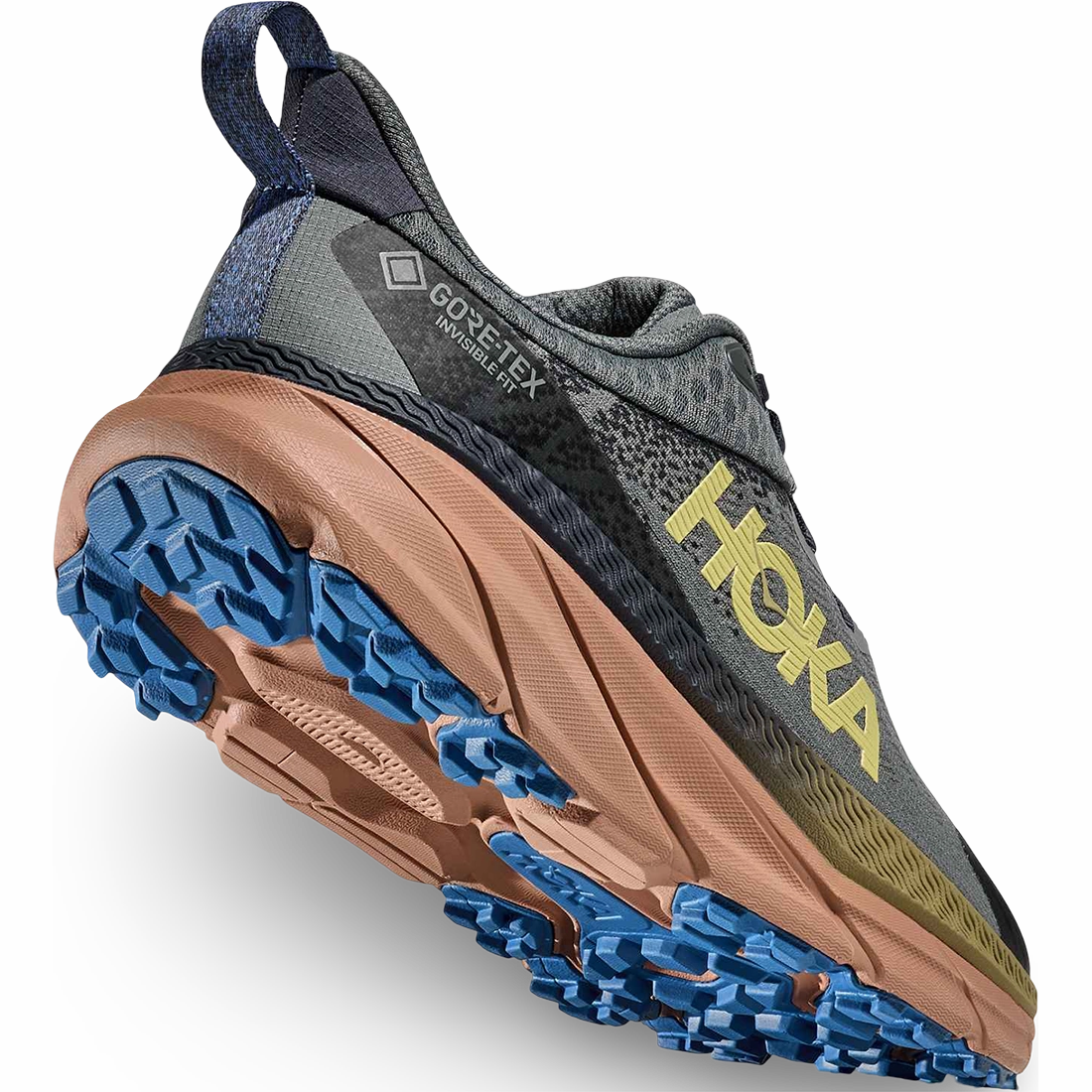 Best Shoes For Disney World Challenger 7 GTX