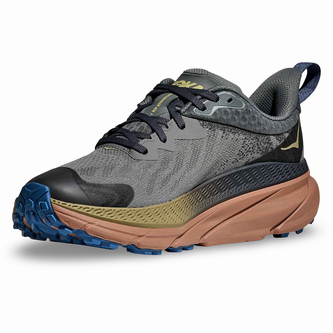 Dicks Sporting Goods Challenger 7 GTX