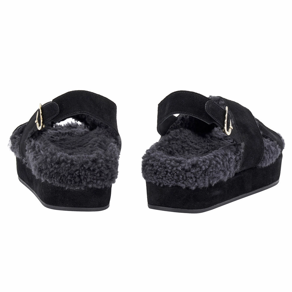 Parnassos Black Bahama