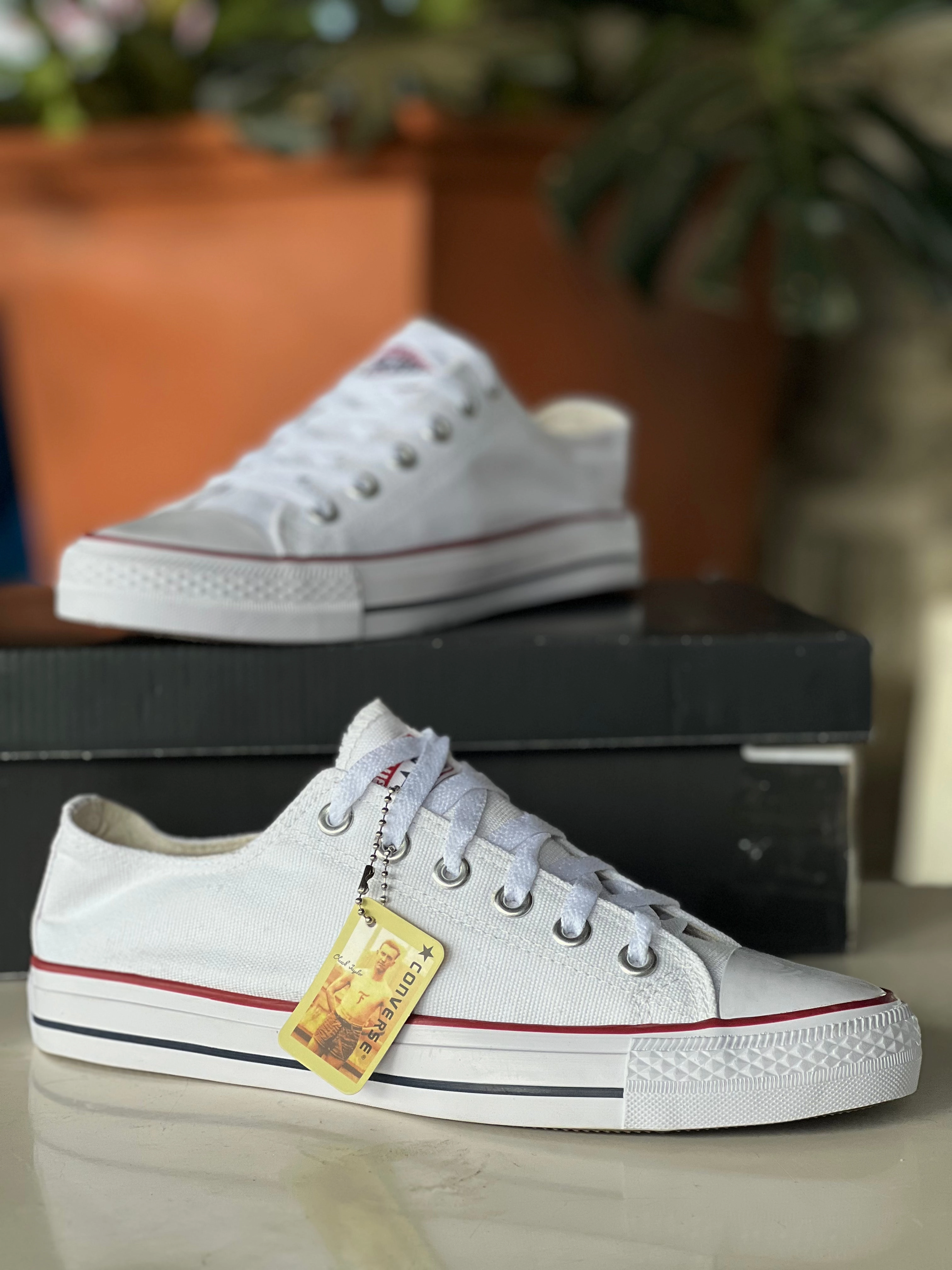Converse All star low cut Sneakers - White Dolce Gabbana Sneakers