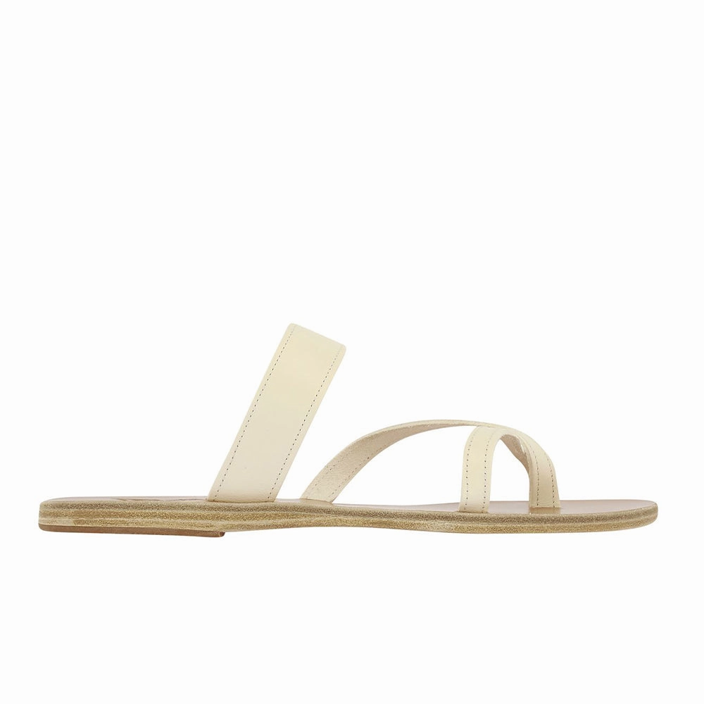 Daphnae Off White Barbados Excursions