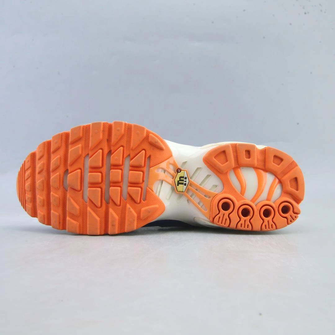 Walking Vs Shoes NIKE AIR MAX PLUS