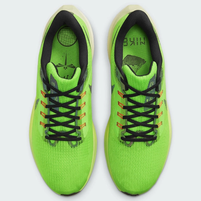 Nike Air Zoom Pegasus 39 Men's DZ4776 343 Nike Air Max Back To The Future Shoes