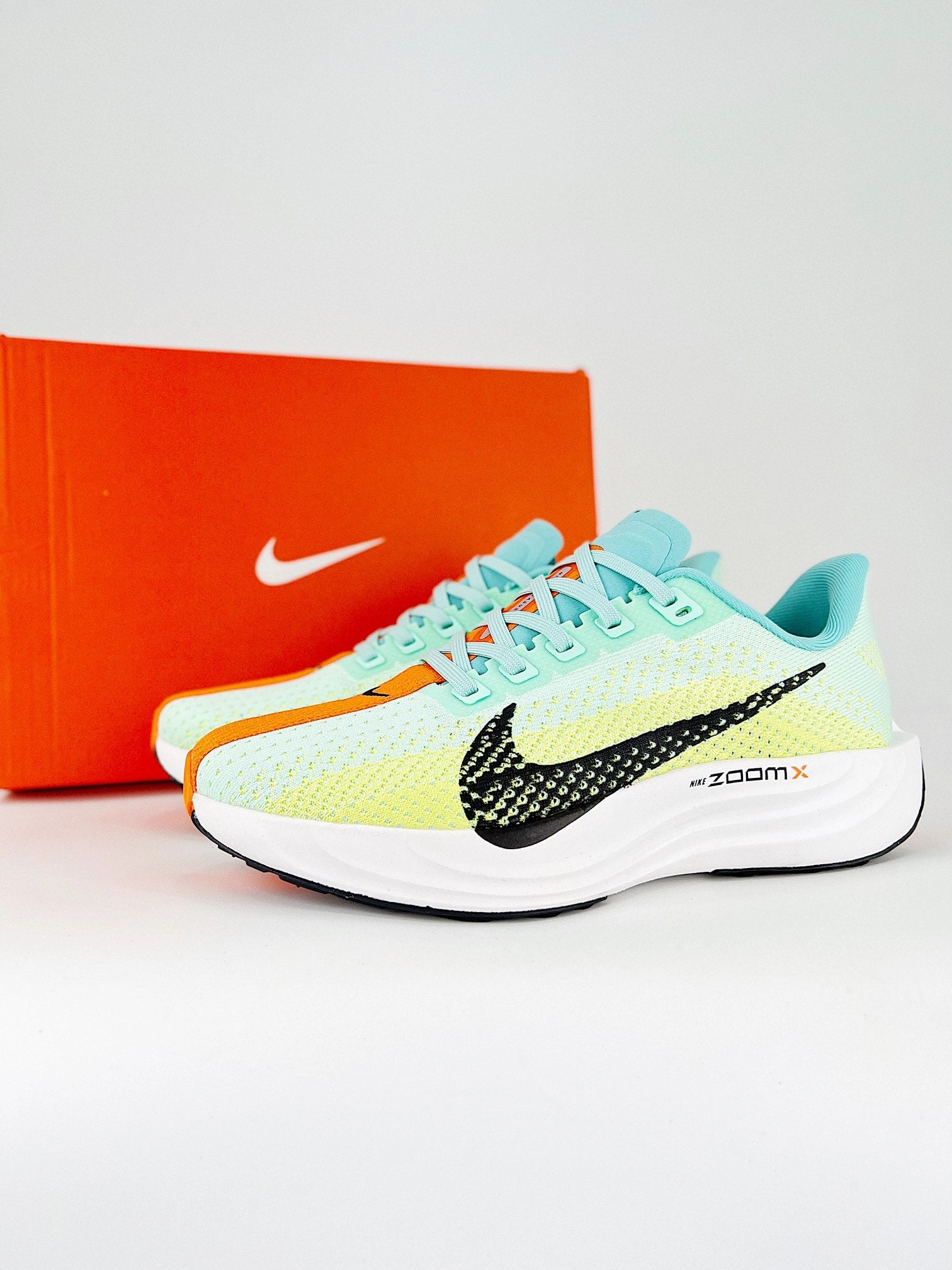 Nike Flex Plus Pegasus Plus Nasa Nike Shoes