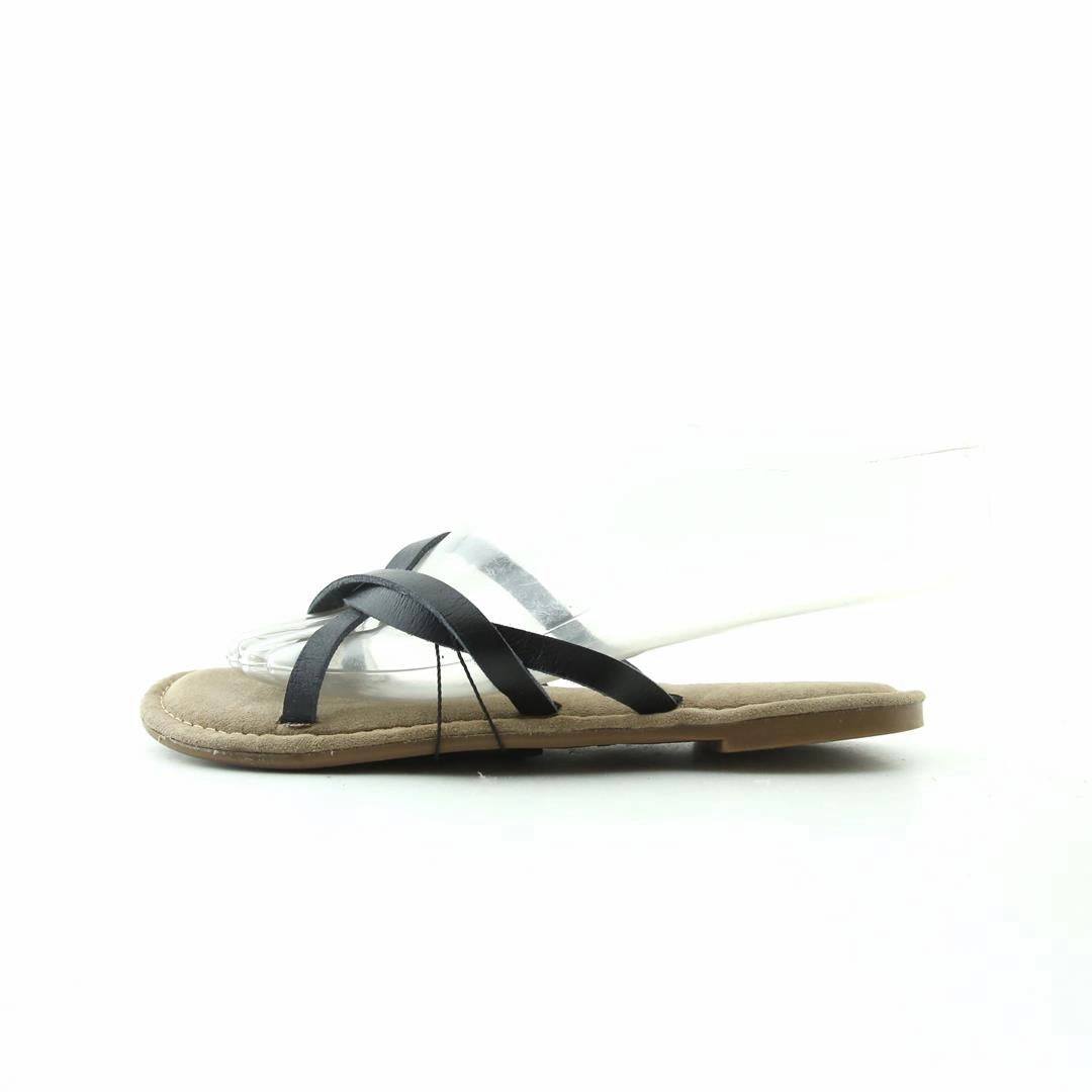 Hockey Slides PALMS .