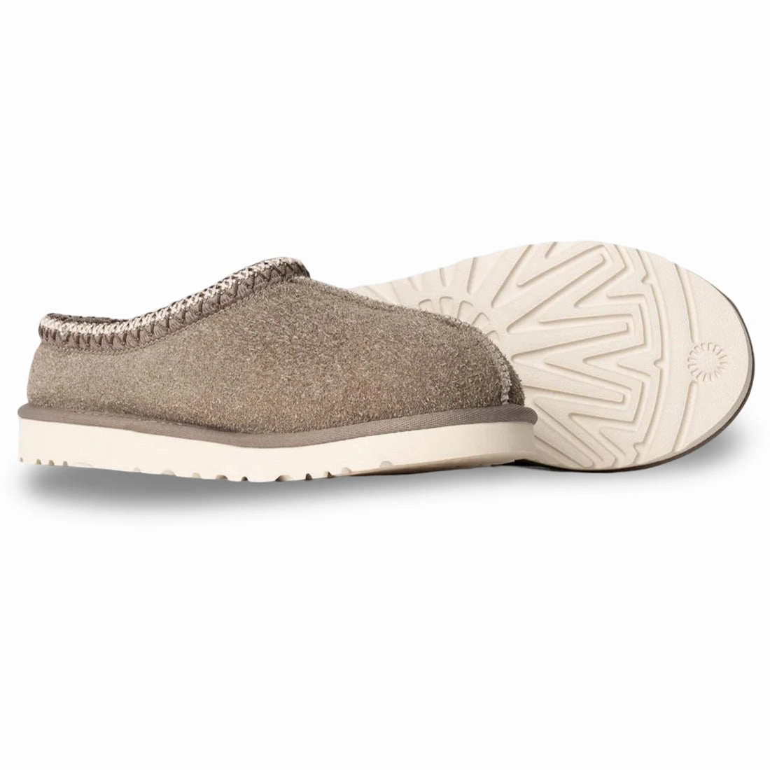 Shaggy Slides With Tiger