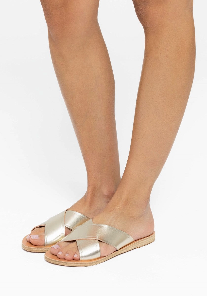 Thais Platinum Job Opportunities