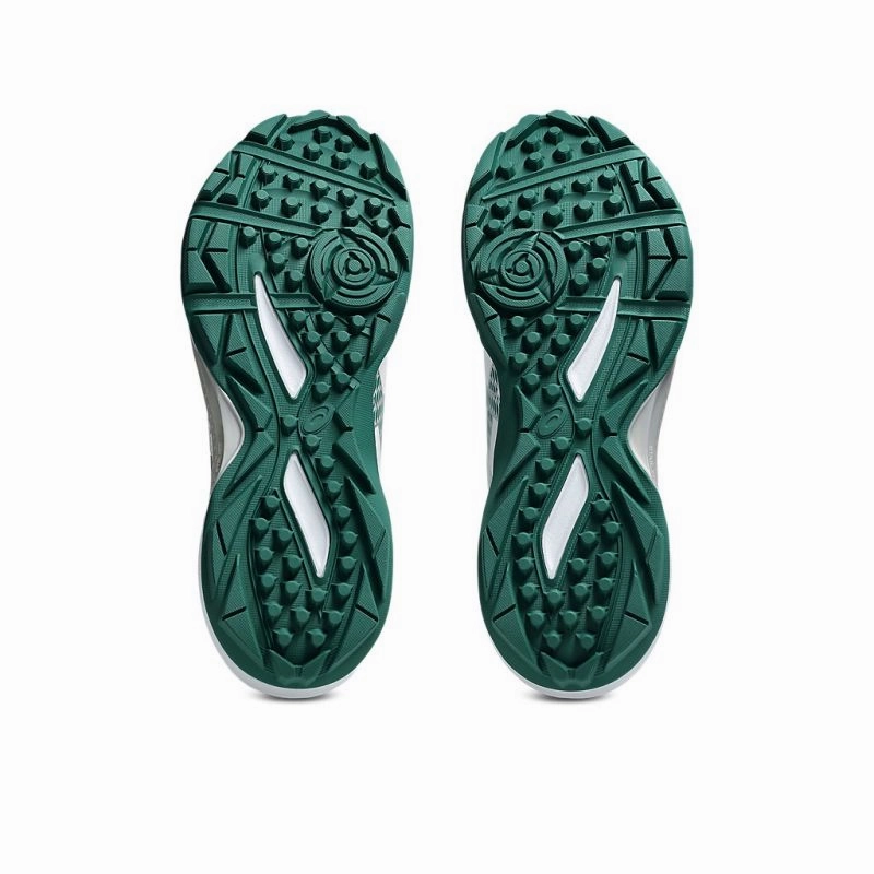 ASICS GEL-Peake 3 Adults Cricket Shoes Asics Ex Eo Wrestling Shoes